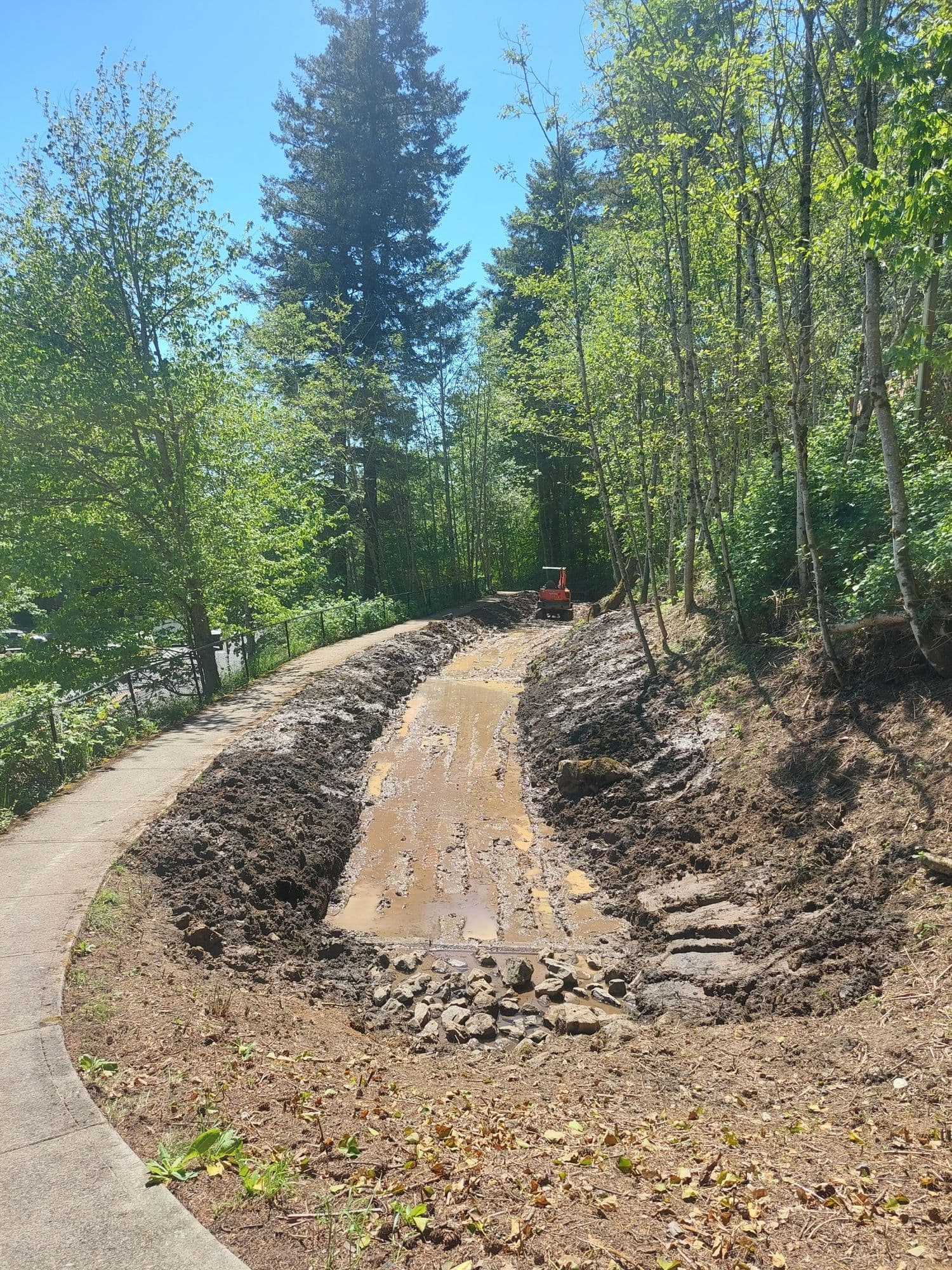 Brady Ridge HOA Swale Restoration
