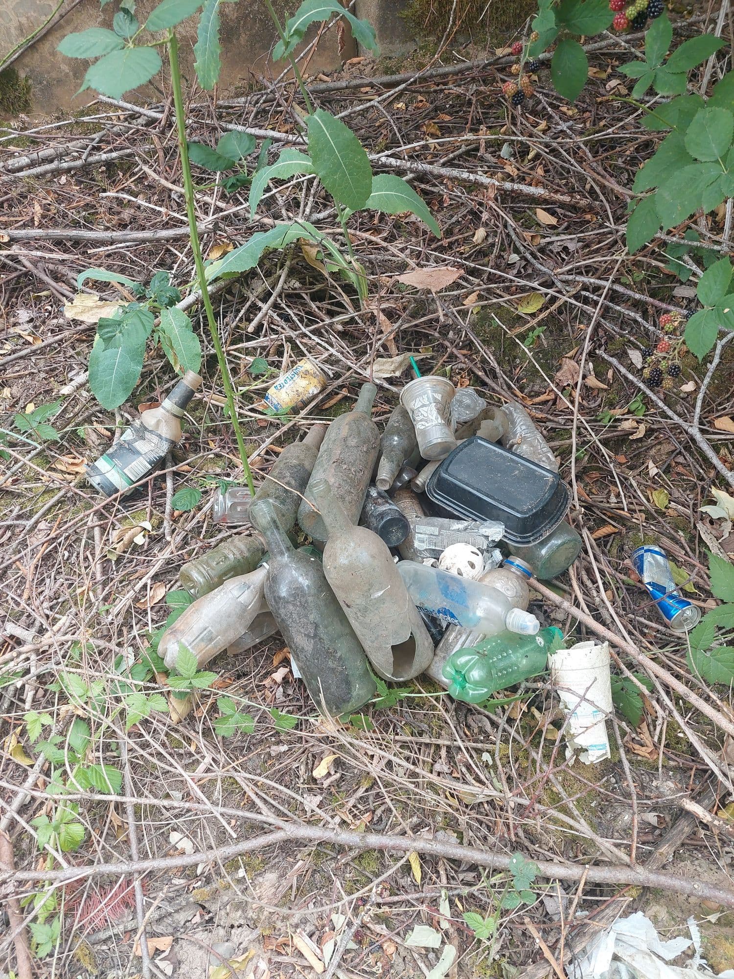 Environmental protection measures during maintenance