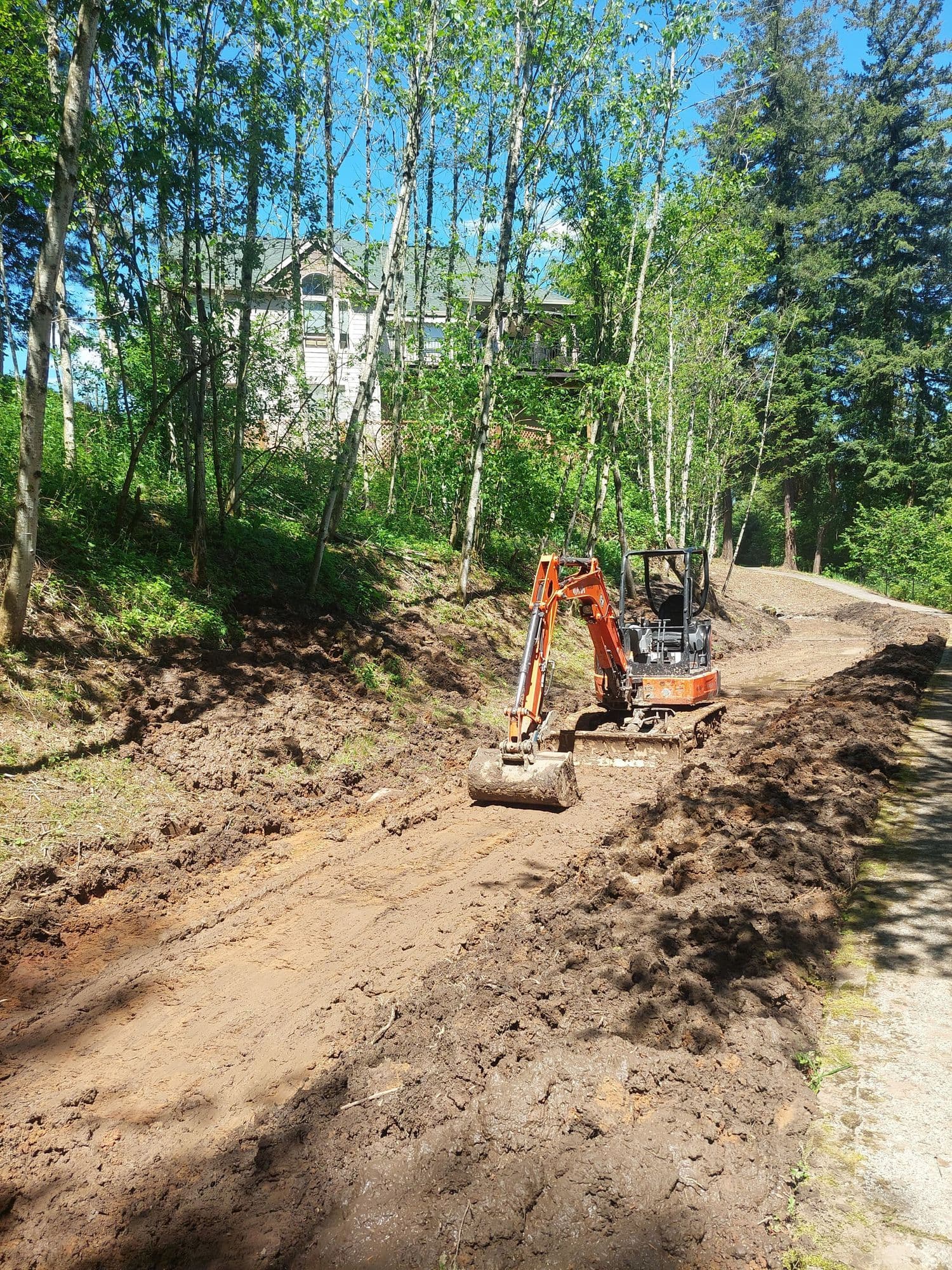 Finished swale with landscaping integrated into community path