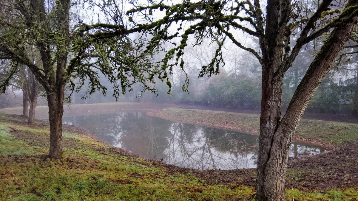 Kings Stormwater project